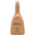 Shibui Everydayness Shampoo