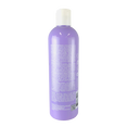 CHI Hair Care Vibes Hair To Slay Daily Moisturizing Shampoo-image2 CHI Hair Care Vibes Hair To Slay Daily Moisturizing Shampoo-image2