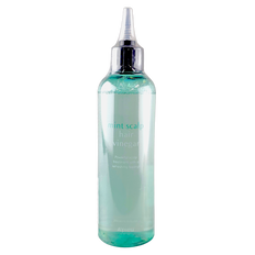 A'pieu Mint Scalp Hair Vinegar Treatment-image1