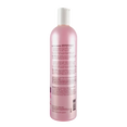 Scruples Biotin Onion Shampoo 2 Step Hair Repair Treatment