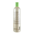 Scruples Verbena Shampoo-image2
