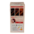 Beautylabo Whip Hair Color-image2 Beautylabo Whip Hair Color-image2