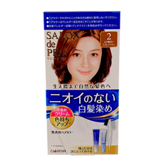Dariya Salon De Pro Unscented Gray Hair Quick Color Cream-image1