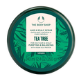 The Body Shop Tea Tree Purifying & Balancing Hair & Scalp Scrub