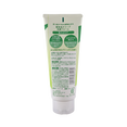 Kracie Naive Green Tea Face Wash