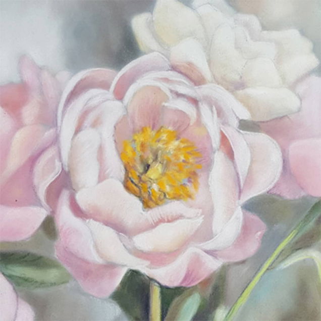 Pan Pastel Pan Pastel