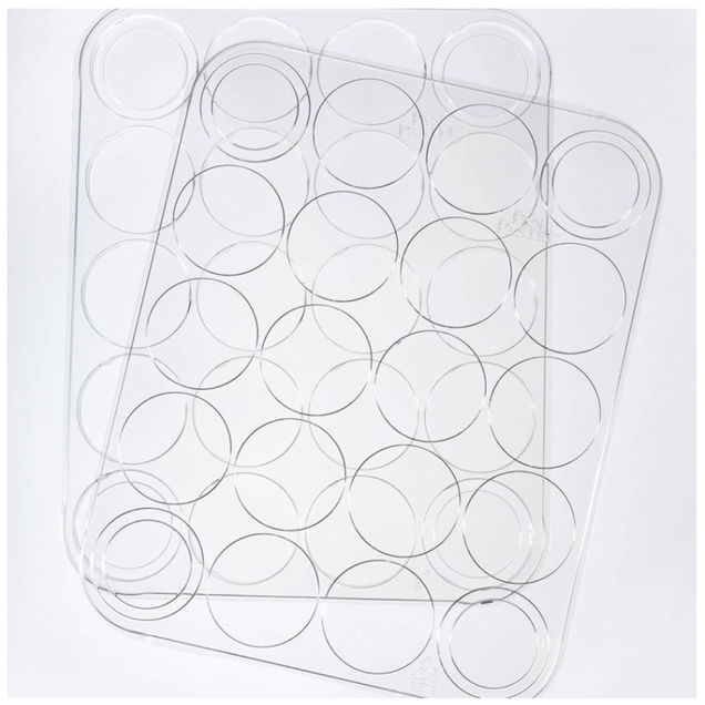 Pan Pastel Empty Tray Pan Pastel Empty Tray
