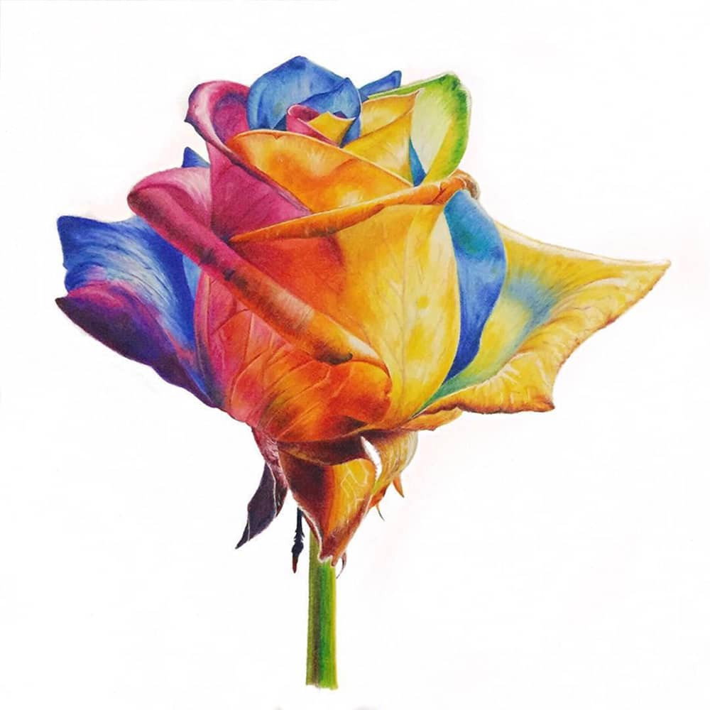 Prismacolor Premier Colored Pencil Sets