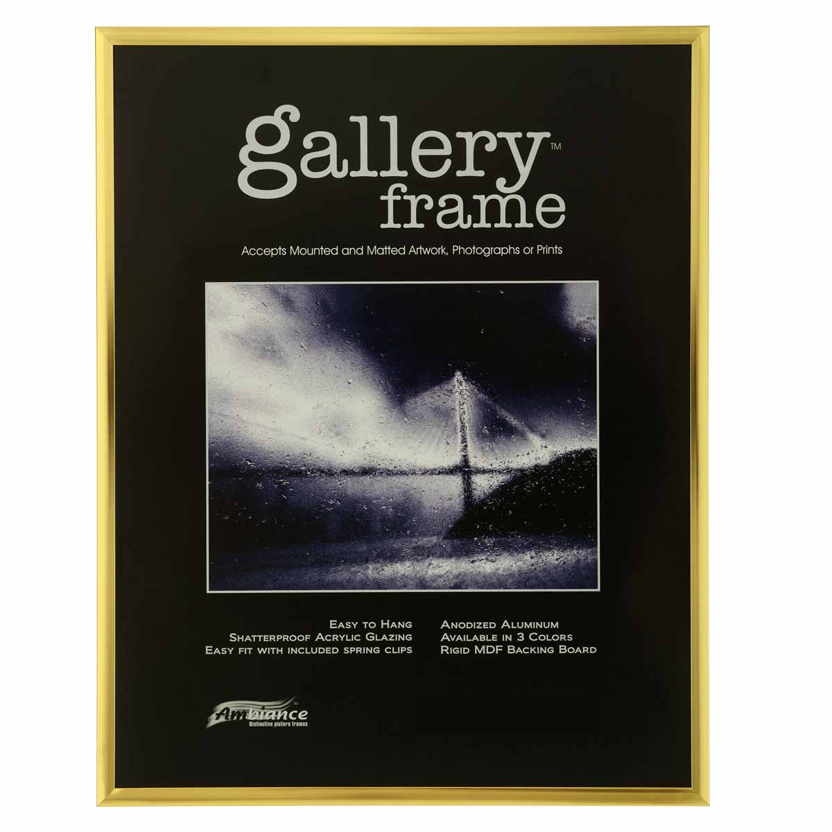 Ambiance Gallery Aluminum Frame 16x20 in. Gold - (72074)