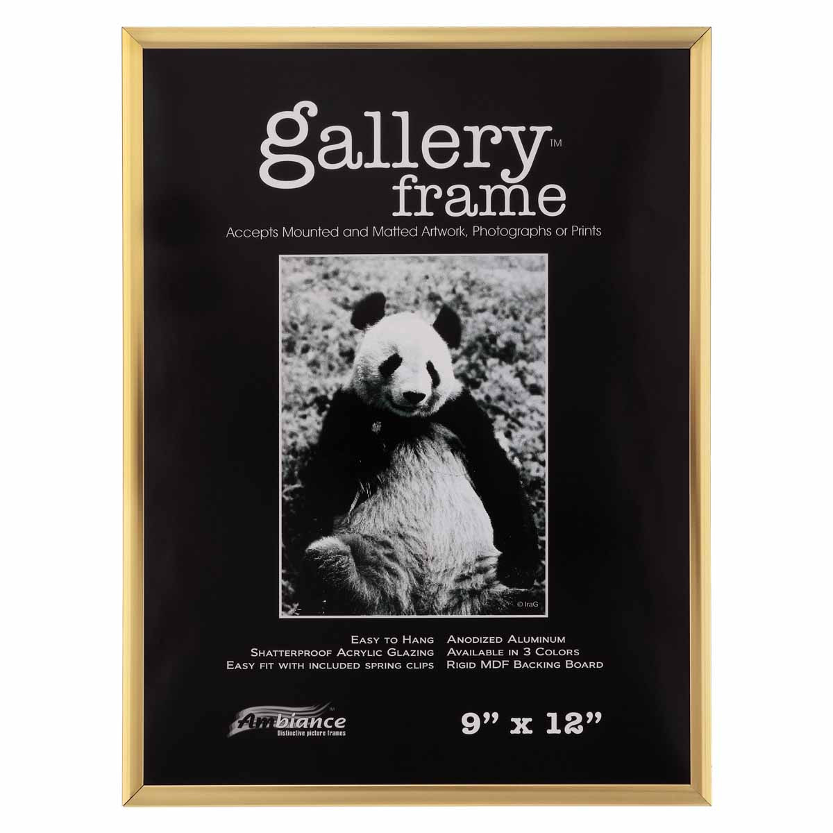 Ambiance Gallery Aluminum Frame 9"x12" Gold - (72069)