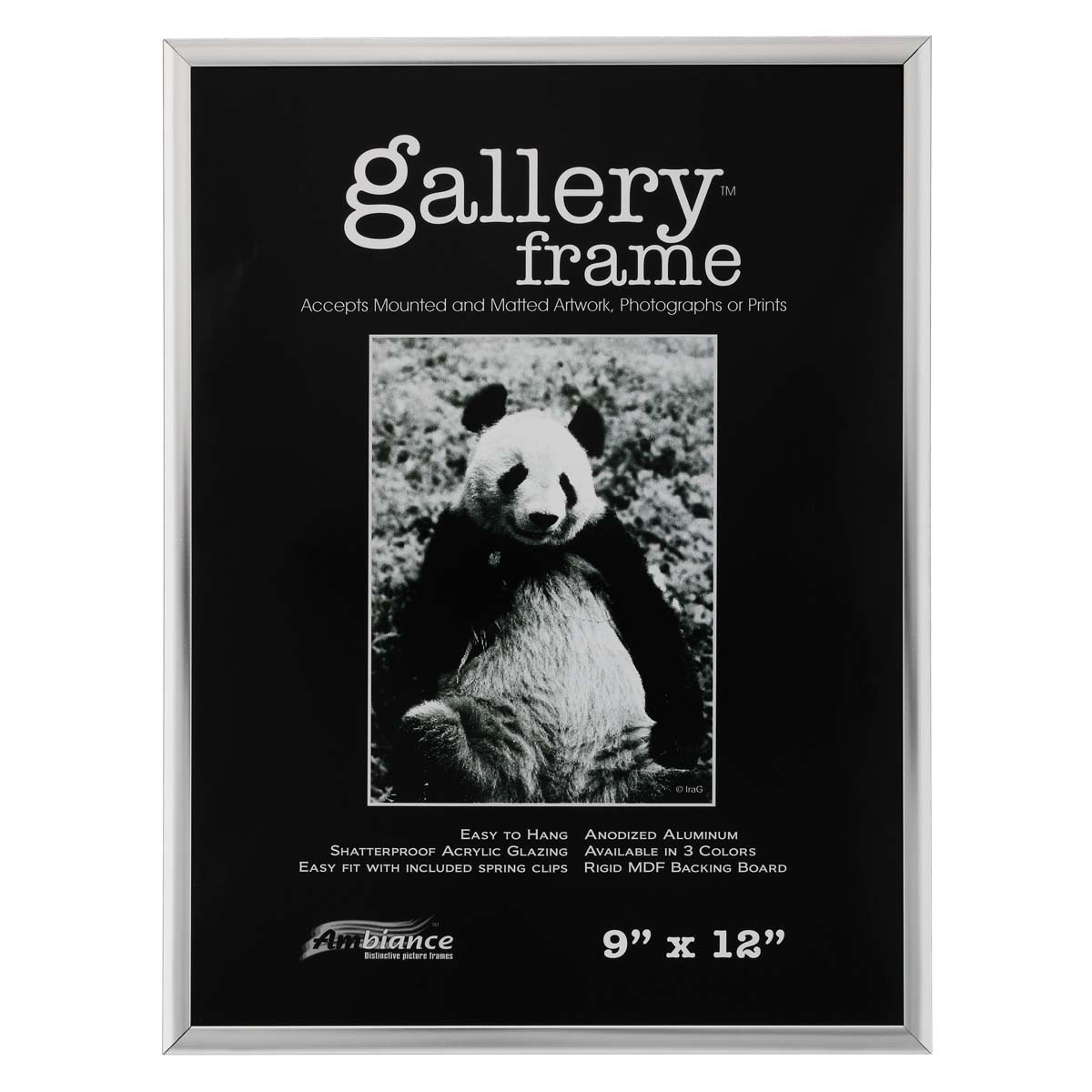 Ambiance Gallery Aluminum Frame 9"x12" Silver - (72056)