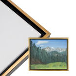 Cardinali 3/4" Deep Floater Frame Black/Antique Gold 16"x20" - (200037176) Cardinali 3/4" Deep Floater Frame Black/Antique Gold 16"x20" - (200037176)