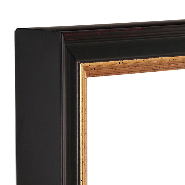 Cardinali Diploma Frames Cardinali Diploma Frames