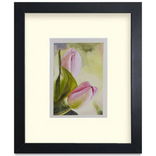 Nielsen Bainbridge Wood Frame Kit Nielsen Bainbridge Wood Frame Kit