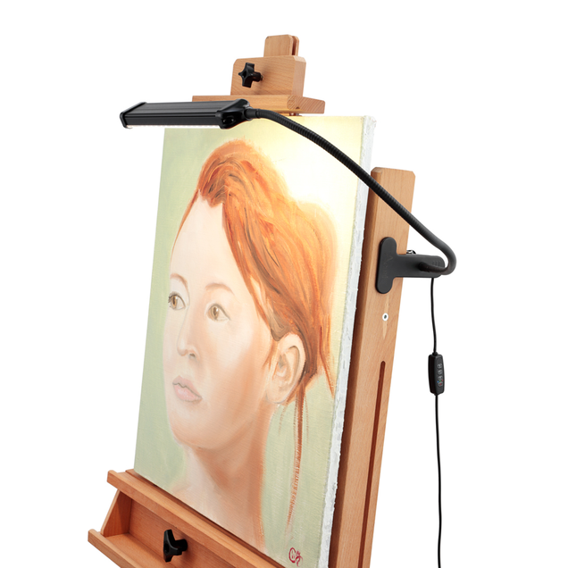 Acurit LED Lamps Acurit LED Lamps