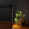 Acurit LED Desk Lamp Black - (91507) Acurit LED Desk Lamp Black - (91507)