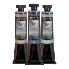 12 Shades of Grey Oil Colors