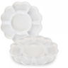 Darwin Flower Palette 8" Darwin Flower Palette 8"