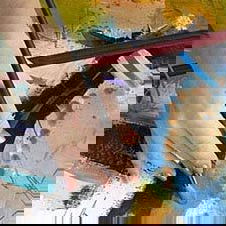 Professional Mahl Stick Professional Mahl Stick