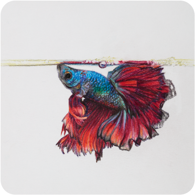 Creative Mark Universal Mixed Media Paper Pads Creative Mark Universal Mixed Media Paper Pads