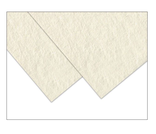 Legion Lenox 100 Drawing Paper 250 gsm 22x30 White