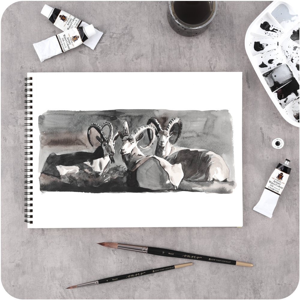 SoHo Watercolor Paper Blocks & Pads