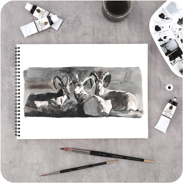 SoHo Watercolor Paper Blocks & Pads SoHo Watercolor Paper Blocks & Pads