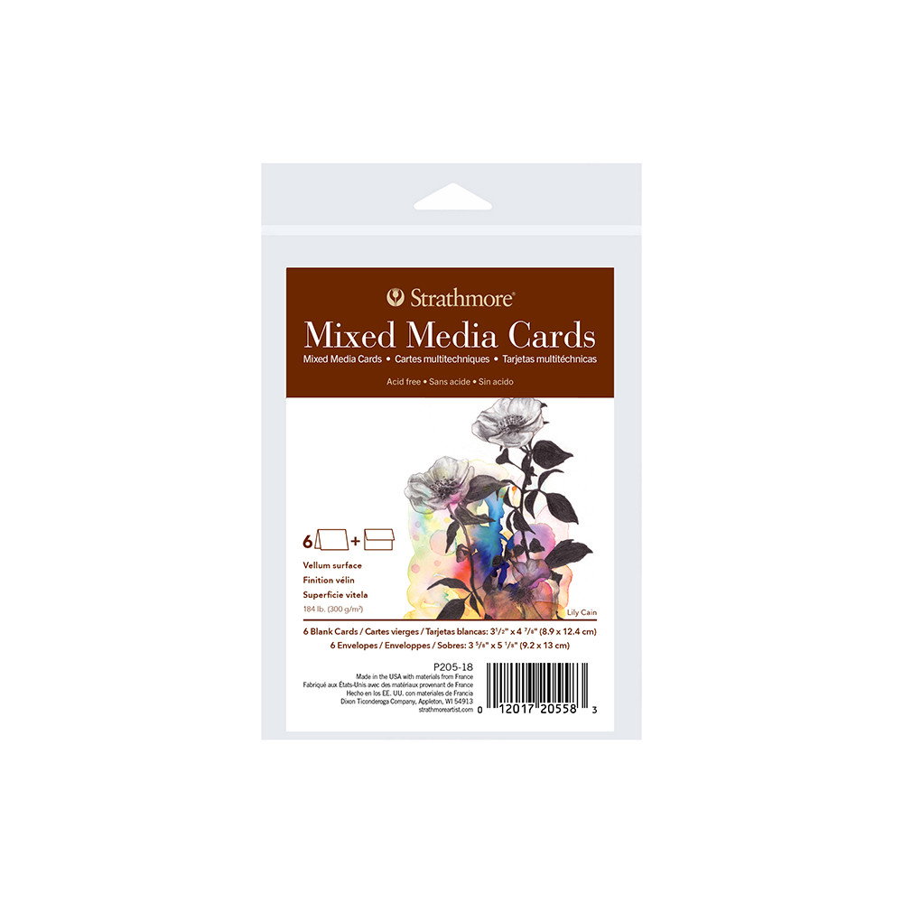 Strathmore Greeting Cards 3.5"x4.875" Pack of 6