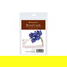 Strathmore Greeting Cards 3.5x4.875 inch Pack of 6 Strathmore Greeting Cards 3.5x4.875 inch Pack of 6