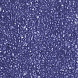 Thai Lace Royal Blue Paper 25X37 in.