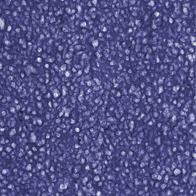 Thai Lace Royal Blue Paper 25X37 in. Thai Lace Royal Blue Paper 25X37 in.