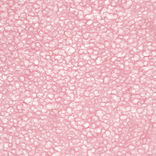 Thai Lace Light Pink Paper 25X37 in.