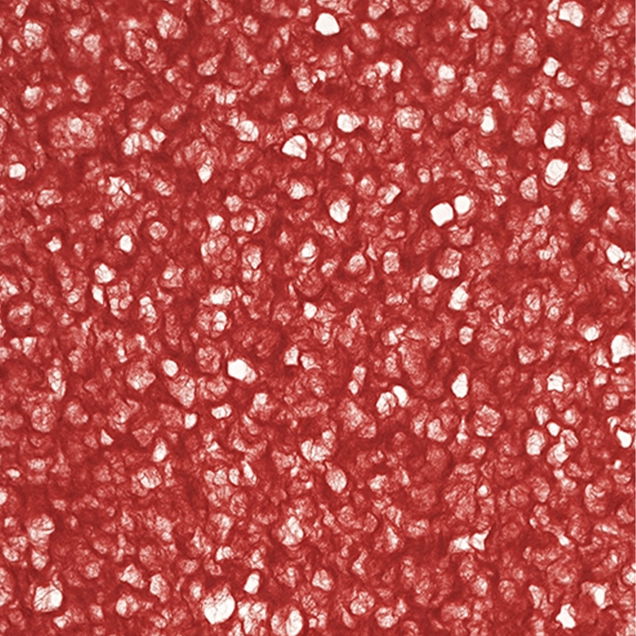 Thai Lace Red Paper 25X37 in. Thai Lace Red Paper 25X37 in.