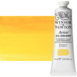Winsor Newton Artist Oil Transparent Yellow 37ml Tube - (44260)