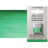 Winsor Newton Professional Watercolor Winsor Green (Yellow Shade) 1/2-Pan - (49394) Winsor Newton Professional Watercolor Winsor Green (Yellow Shade) 1/2-Pan - (49394)