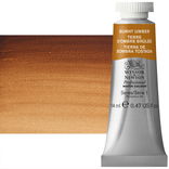 Winsor Newton Professional Watercolor Burnt Umber 14ml - (550) Winsor Newton Professional Watercolor Burnt Umber 14ml - (550)
