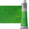 Winton Oil Color 200ml Permanent Green Light - (40529) Winton Oil Color 200ml Permanent Green Light - (40529)