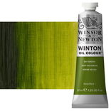 Winton Oil Color 37ml Sap Green - (45734) Winton Oil Color 37ml Sap Green - (45734)
