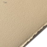 Arches Velin Rives BFK 280 gsm 22"x30" Tan - (65138)