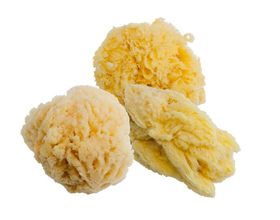 Aphrodite Painting Sponges