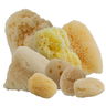 Aphrodite Painting Sponges Aphrodite Painting Sponges