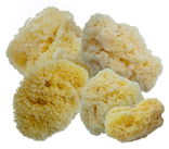 Aphrodite Painting Sponges