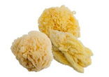 Aphrodite Sponges Artist Value Pack #1
