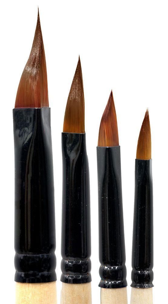 Beste Fountain Brush & Instructional DVD Set