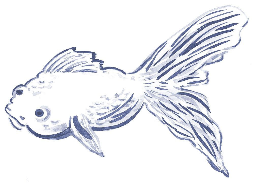 Beste Fountain Brush & Instructional DVD Set