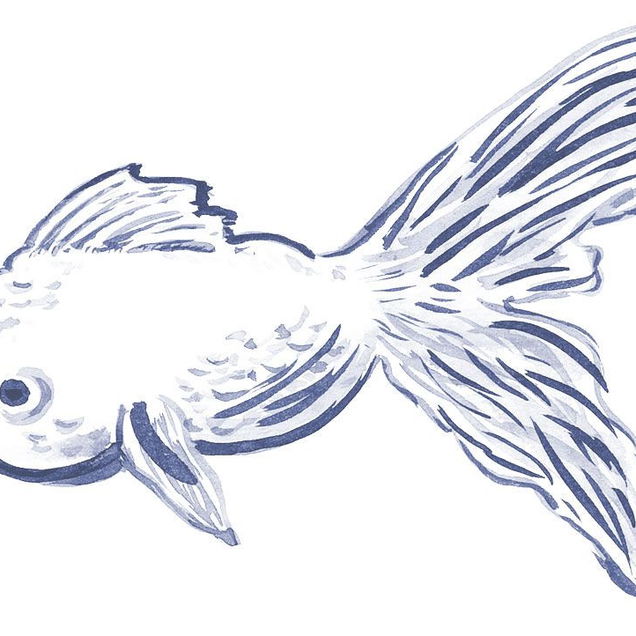 Beste Fountain Brush & Instructional DVD Set Beste Fountain Brush & Instructional DVD Set