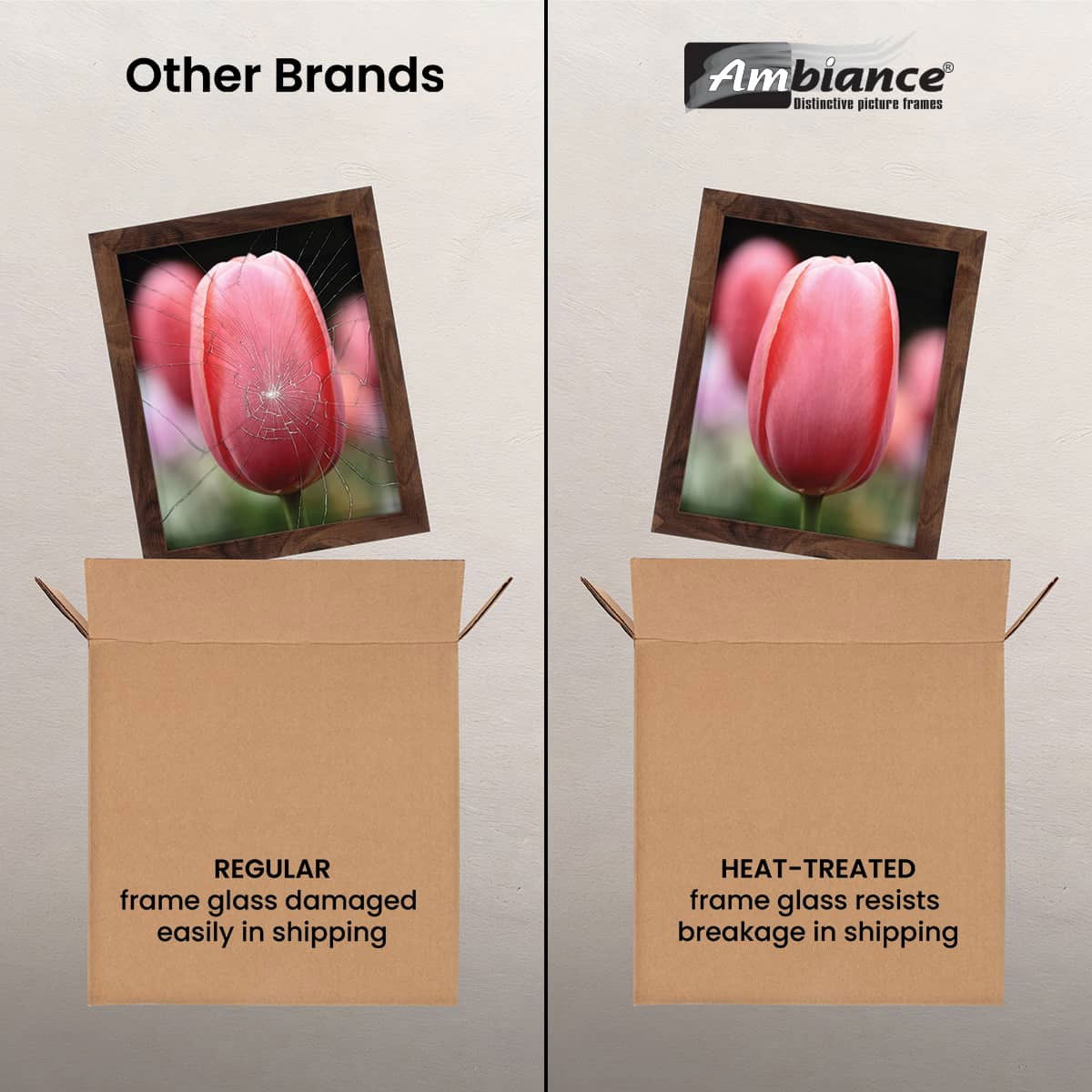 Ambiance Break-Resistant Picture Frame Glass and Backing