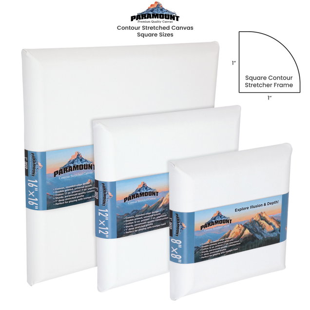 Paramount Contour Stretched Canvas Paramount Contour Stretched Canvas