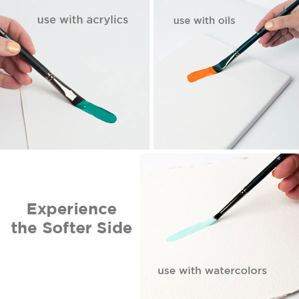 Black Swan Long Handle Brush Sets Black Swan Long Handle Brush Sets