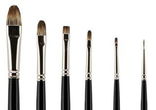 Hamburg Premier Explorer Brushes 6 Set Hamburg Premier Explorer Brushes 6 Set